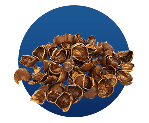 Artichoke Leaf Extract