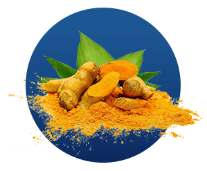 Turmeric Curcumin Extract