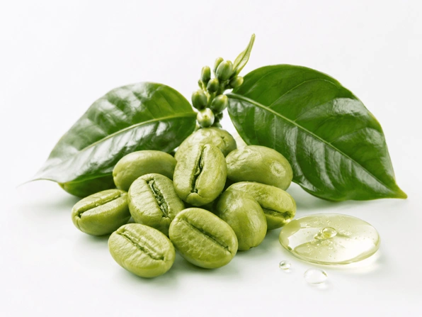 Chlorogenic Acid raw unroasted green coffee beans and pure botanical extract